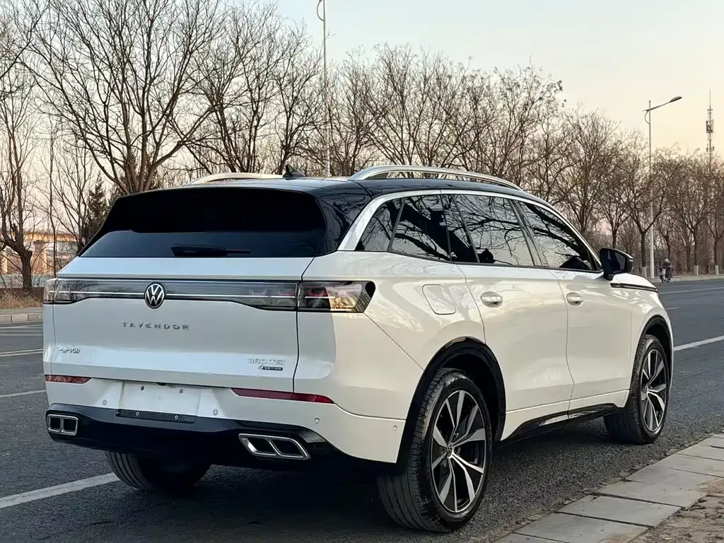 Volkswagen Tavendor 2023 из CN, фото 8