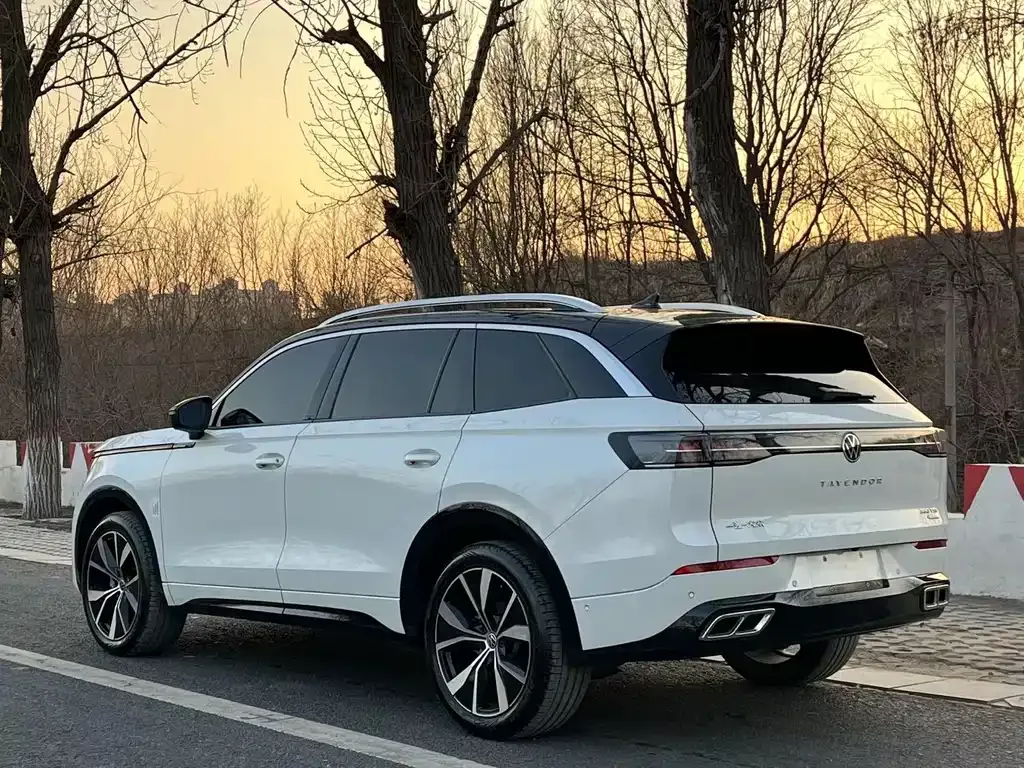 Volkswagen Tavendor 2023 из CN, фото 7