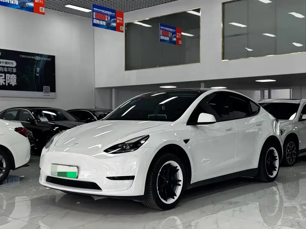 Tesla Model Y — фото 1