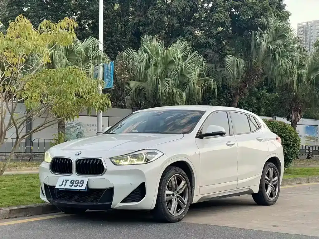 BMW X2 — фото 1