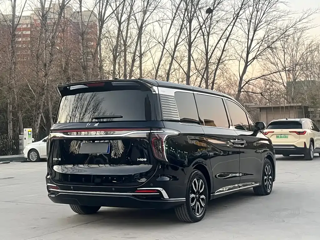 Hongqi HQ9 — фото 6