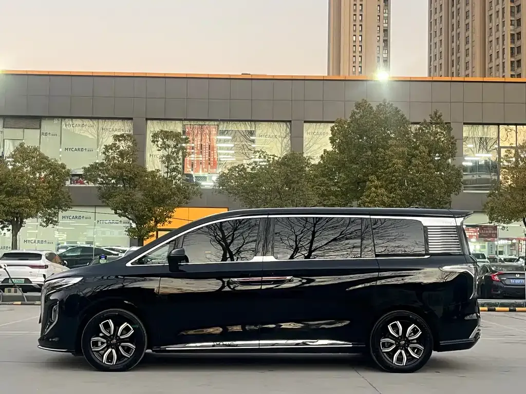Hongqi HQ9 — фото 2