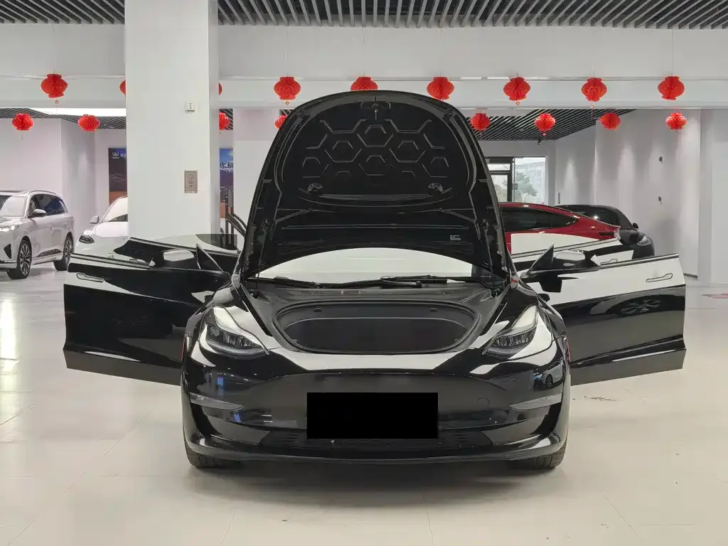 Tesla Model 3 2022 из CN, фото 5