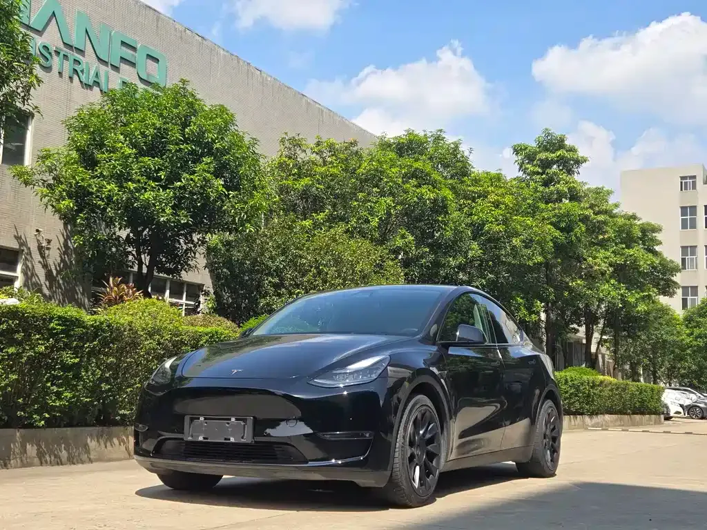 Tesla Model Y 2022 из CN, фото 1