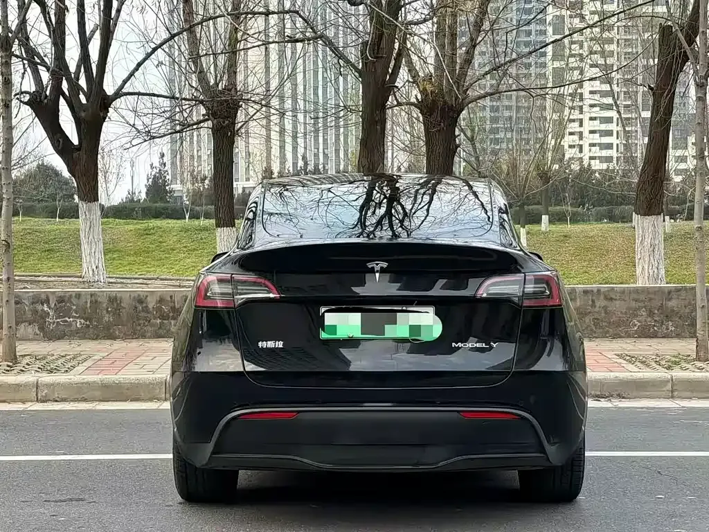 Tesla Model Y 2024 из CN, фото 7