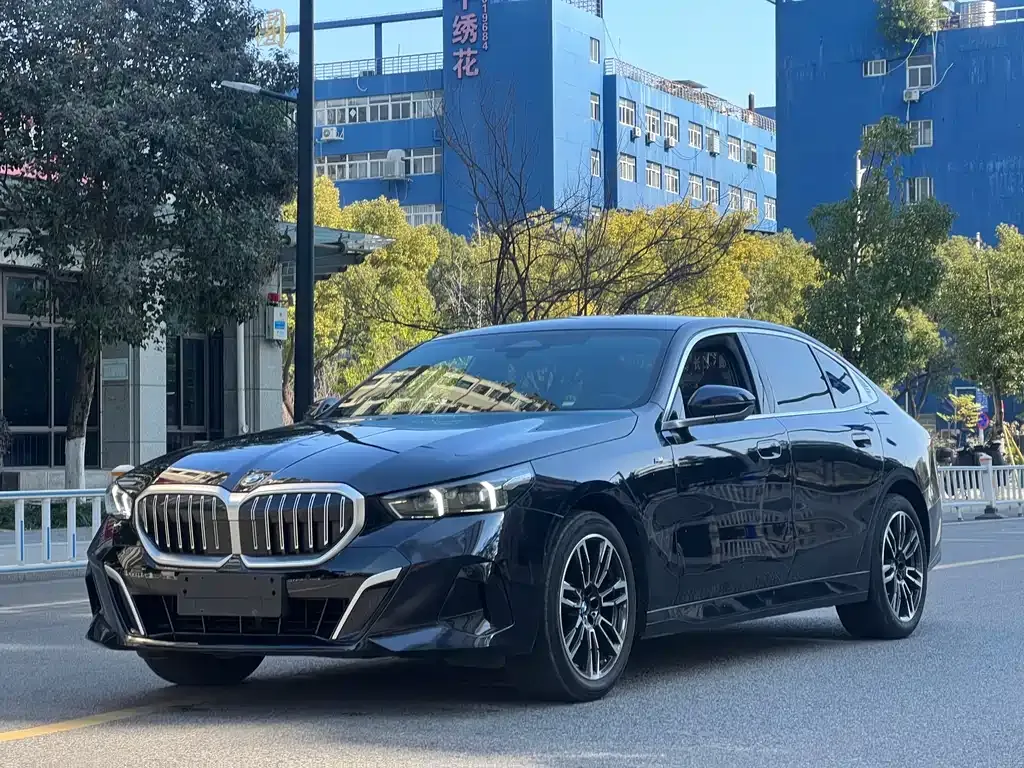 BMW 5 Series 2024 из CN, фото 1