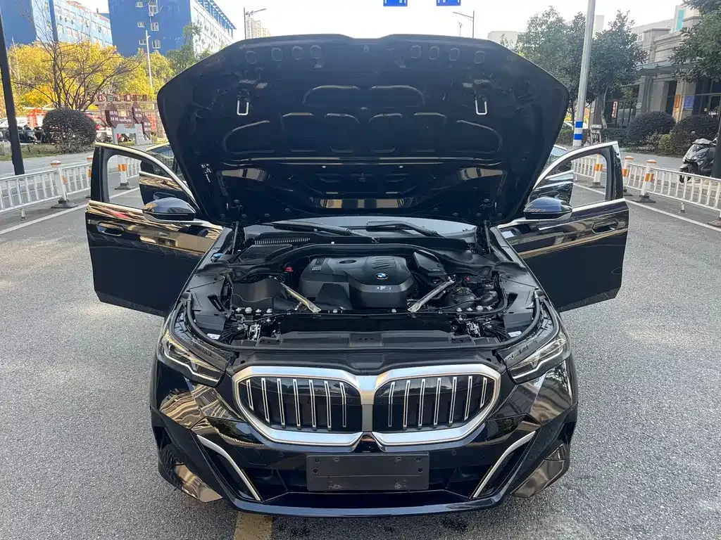 BMW 5 Series 2024 из CN, фото 4