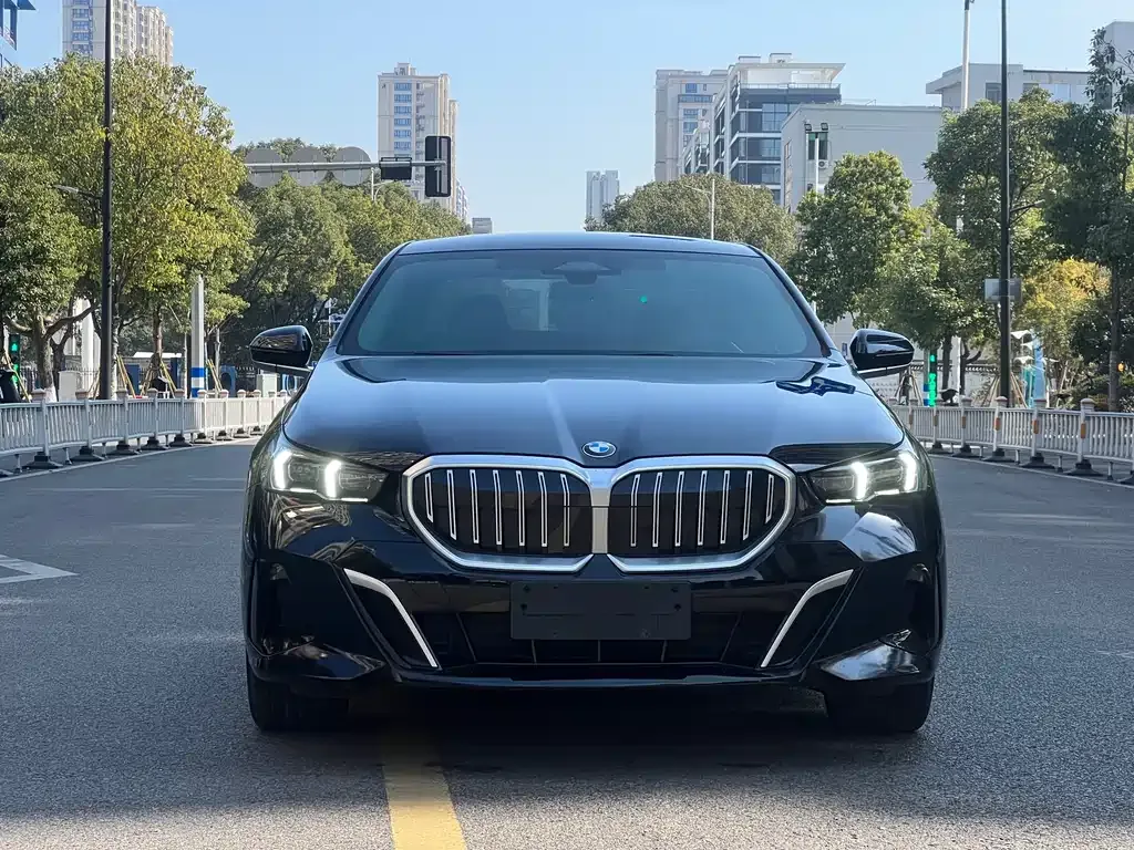 BMW 5 Series 2024 из CN, фото 9