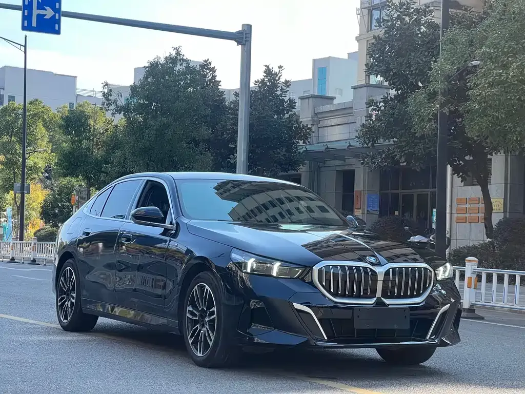 BMW 5 Series 2024 из CN, фото 6