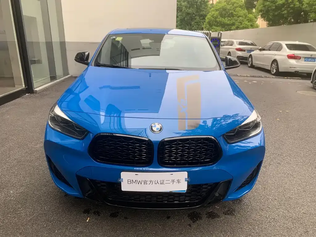 BMW X2 2021 из CN, фото 9