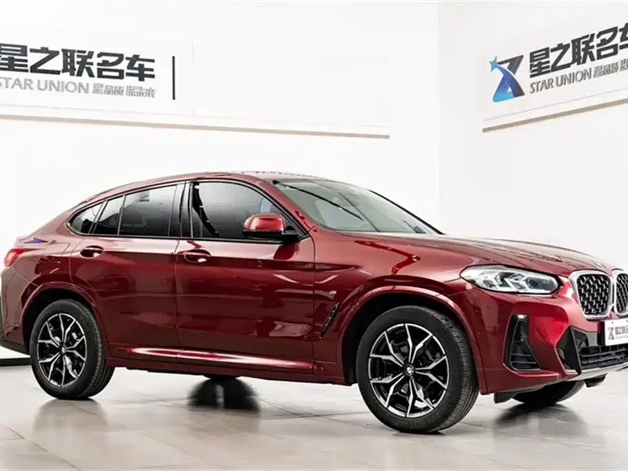 BMW X4 — фото 6