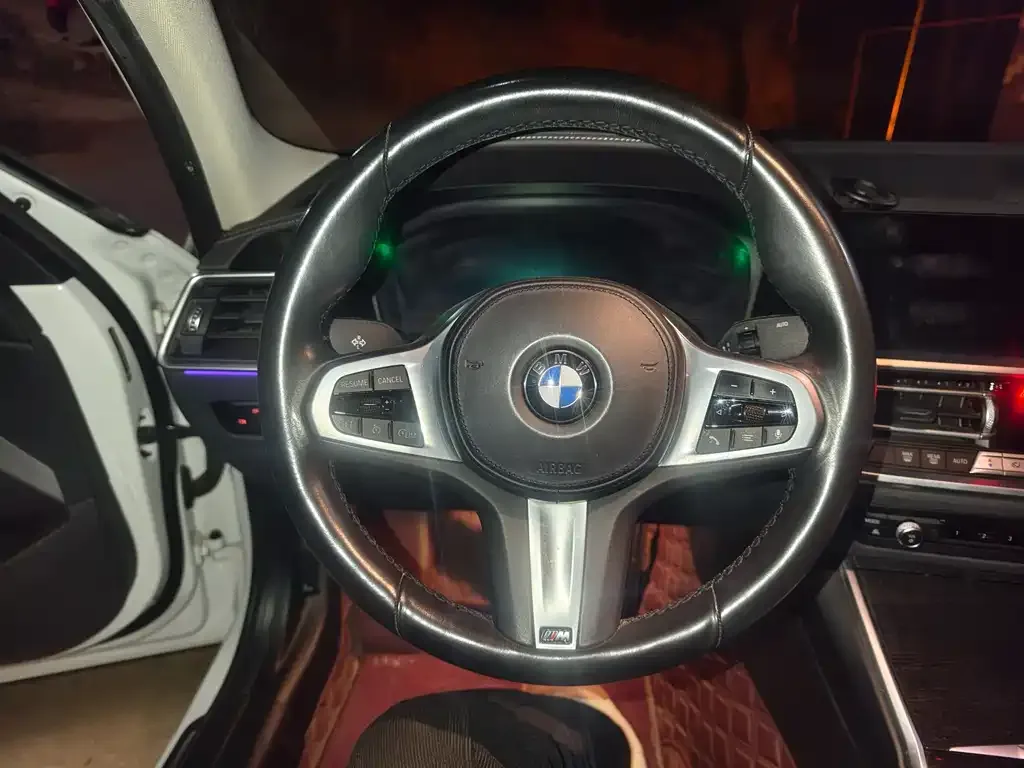BMW 3 Series 2021 из CN, фото 10