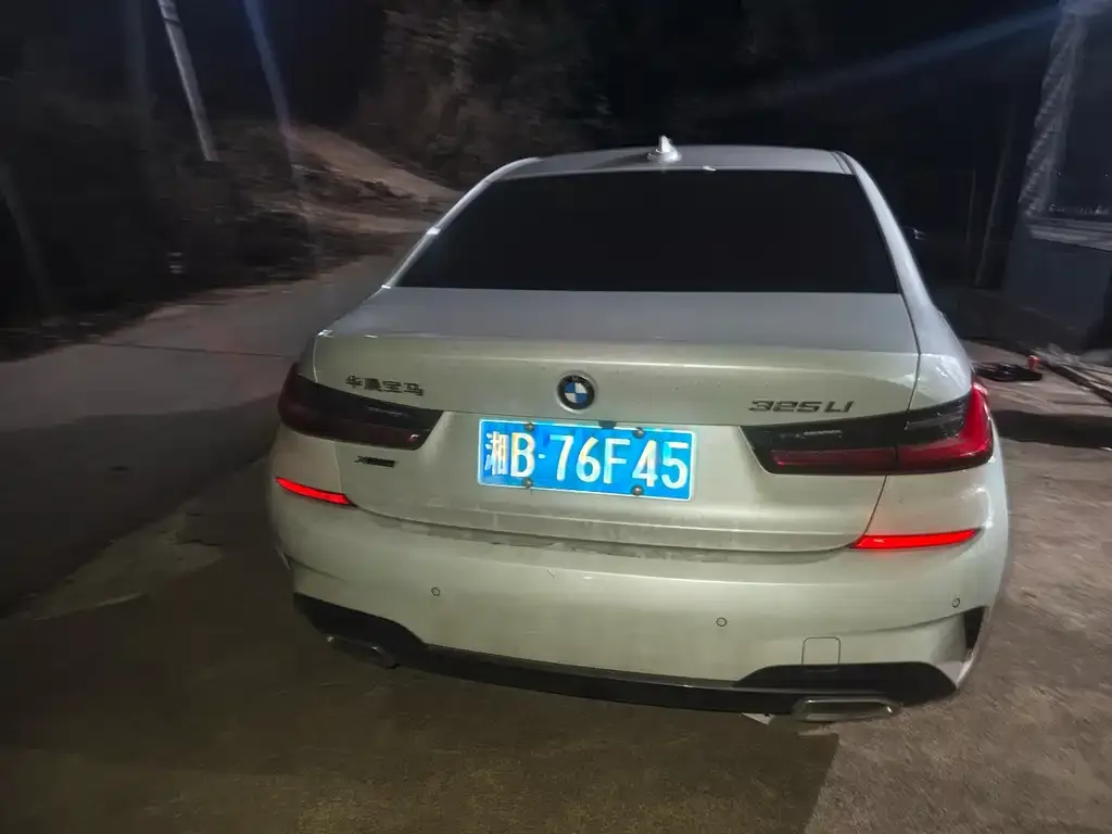 BMW 3 Series 2021 из CN, фото 2