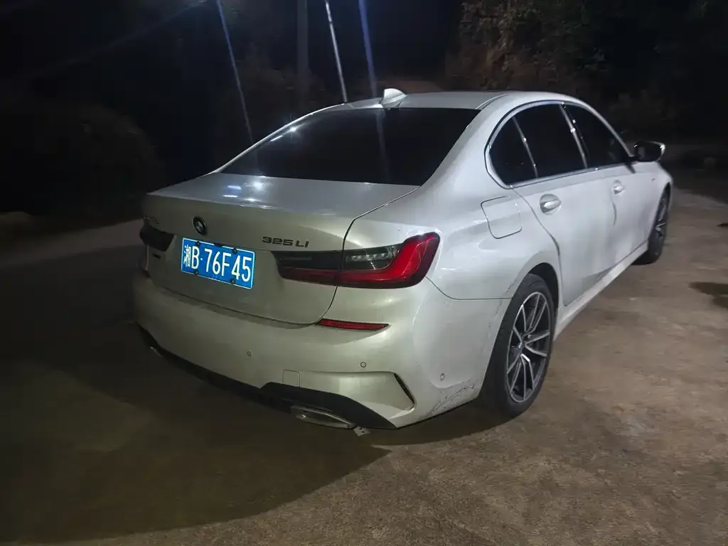 BMW 3 Series 2021 из CN, фото 4