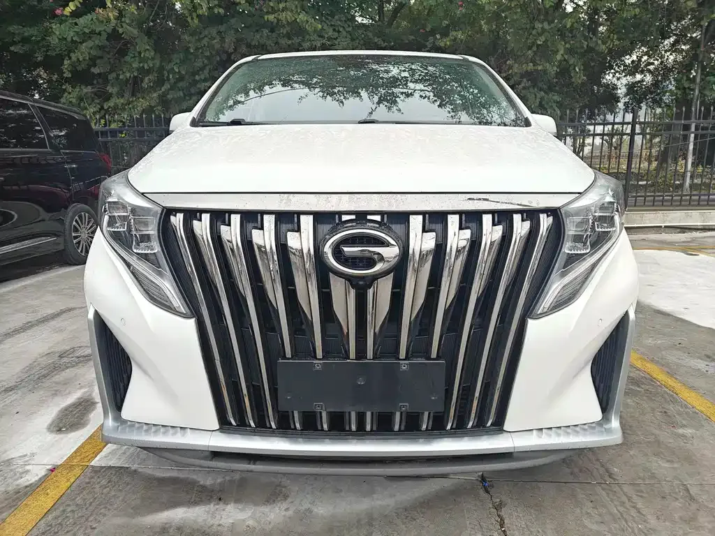 GAC Motor Trumpchi M8 2021 из CN, фото 7