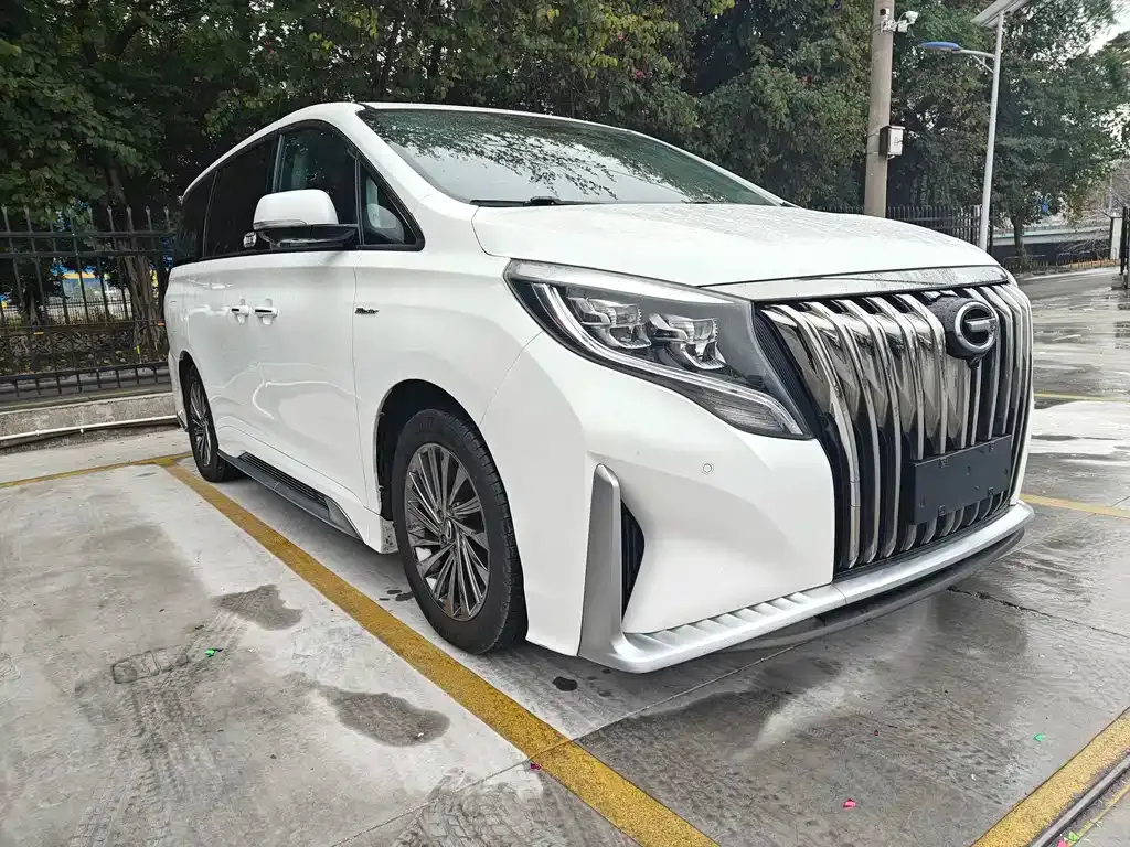 GAC Motor Trumpchi M8 2021 из CN, фото 5