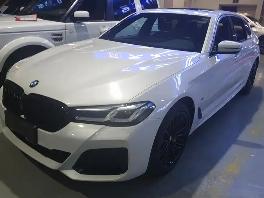 BMW 5 Series 2021 из CN, фото 1