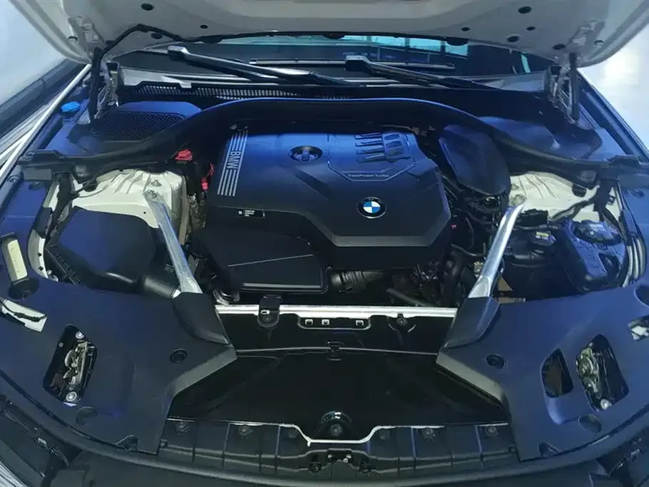 BMW 5 Series 2021 из CN, фото 5