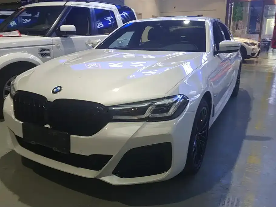 BMW 5 Series 2021 из CN, фото 3