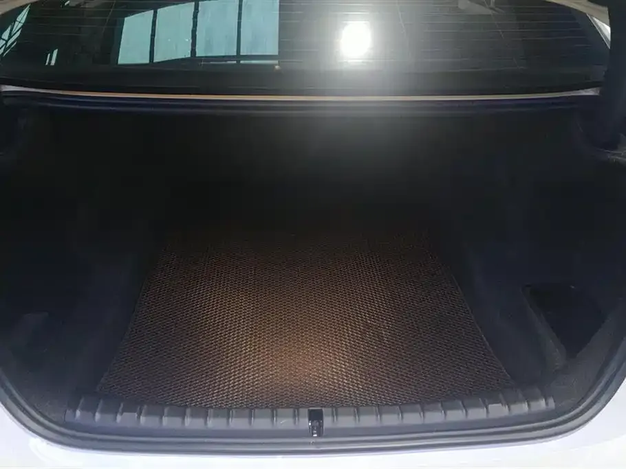 BMW 5 Series 2021 из CN, фото 4