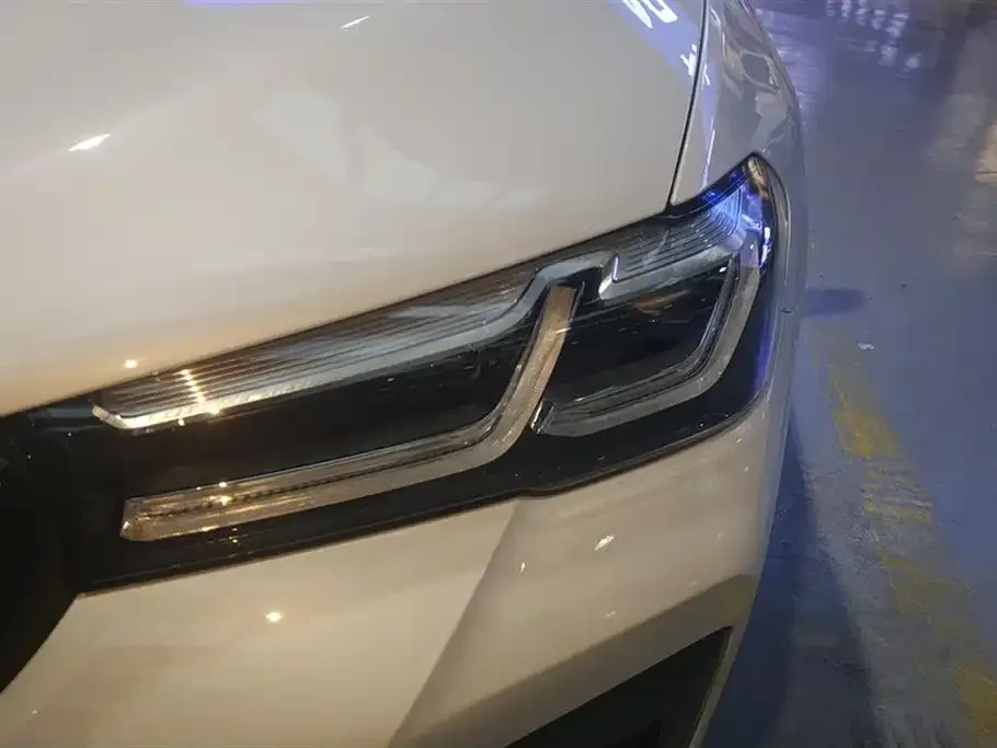 BMW 5 Series 2021 из CN, фото 7