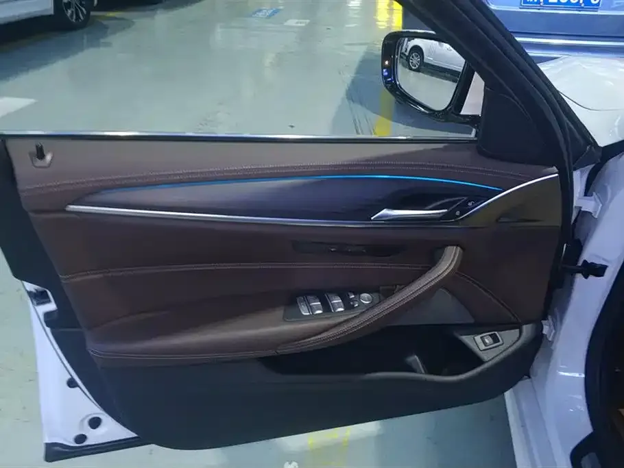 BMW 5 Series 2021 из CN, фото 9