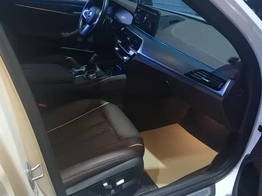 BMW 5 Series 2021 из CN, фото 10