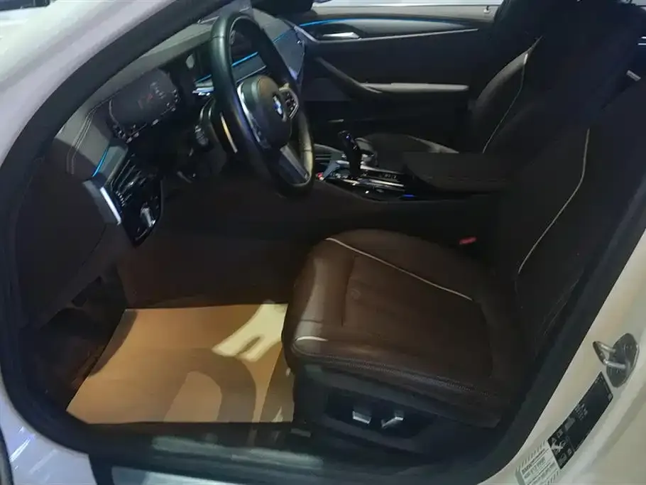 BMW 5 Series 2021 из CN, фото 8