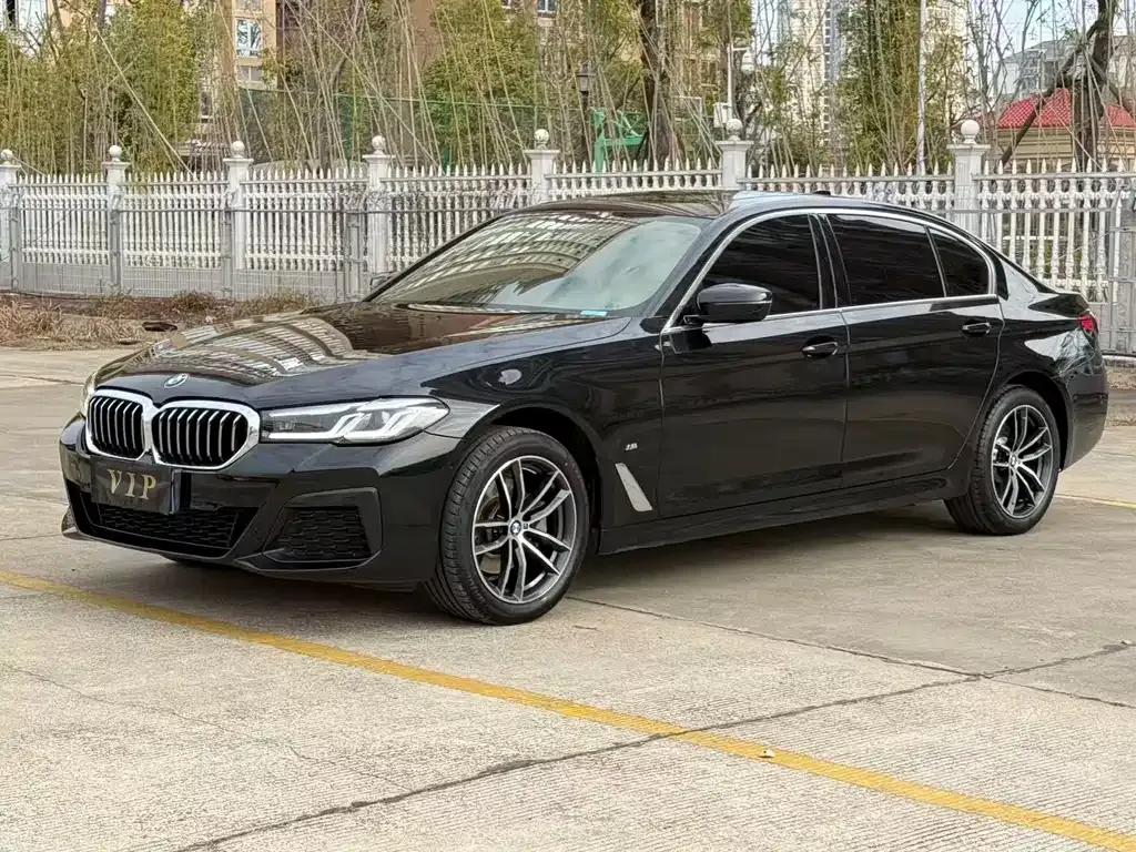 BMW 5 Series 2024 из CN, фото 1