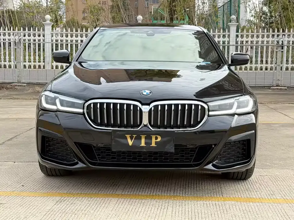BMW 5 Series 2024 из CN, фото 4