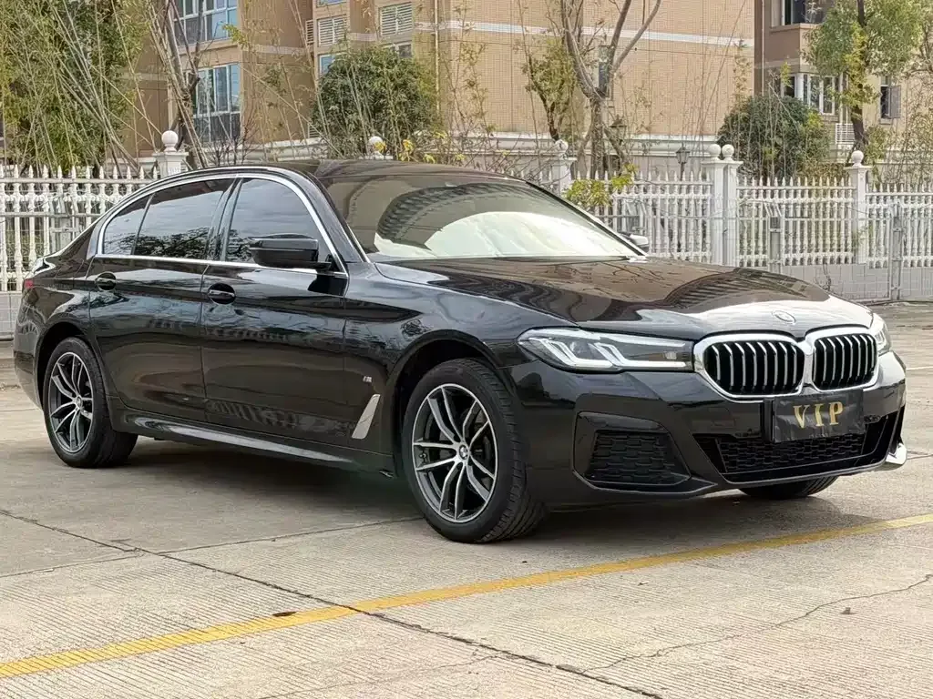 BMW 5 Series 2024 из CN, фото 9