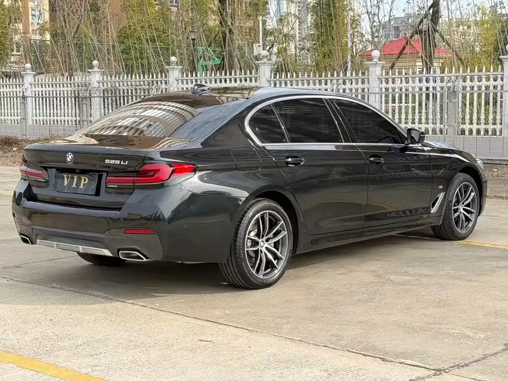 BMW 5 Series 2024 из CN, фото 6