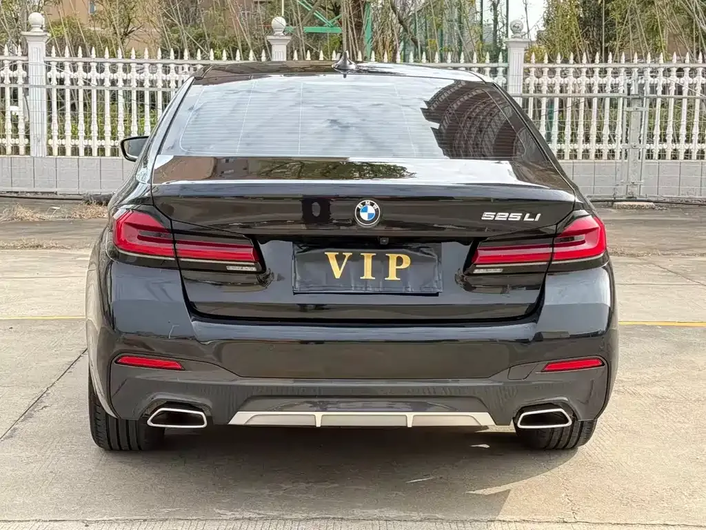 BMW 5 Series 2024 из CN, фото 3