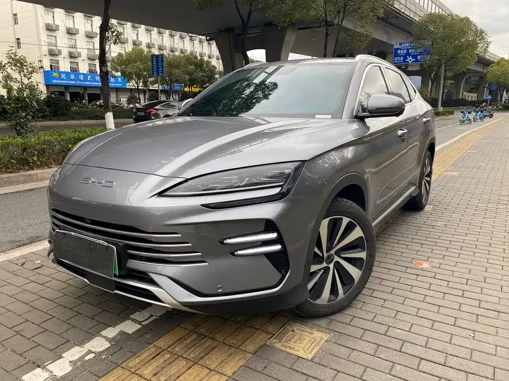 BYD PLUS New Energy — фото 1