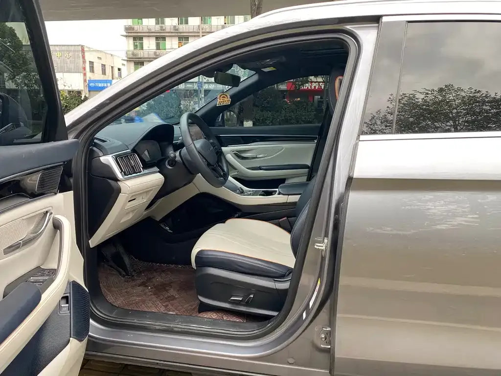BYD PLUS New Energy — фото 4