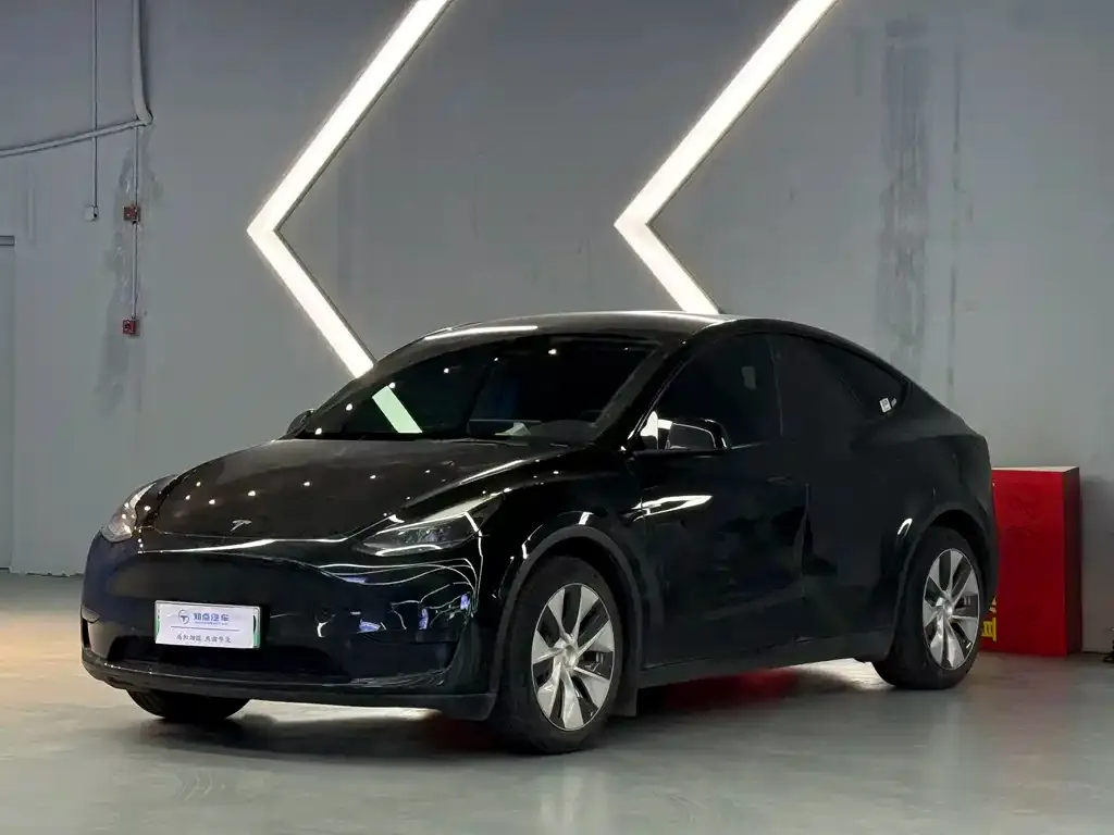 Tesla Model Y 2022 из CN, фото 1