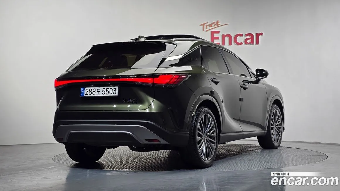 Lexus RX 2024 из KR, фото 10