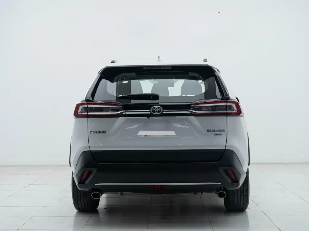 Toyota Wildlander 2023 из CN, фото 6