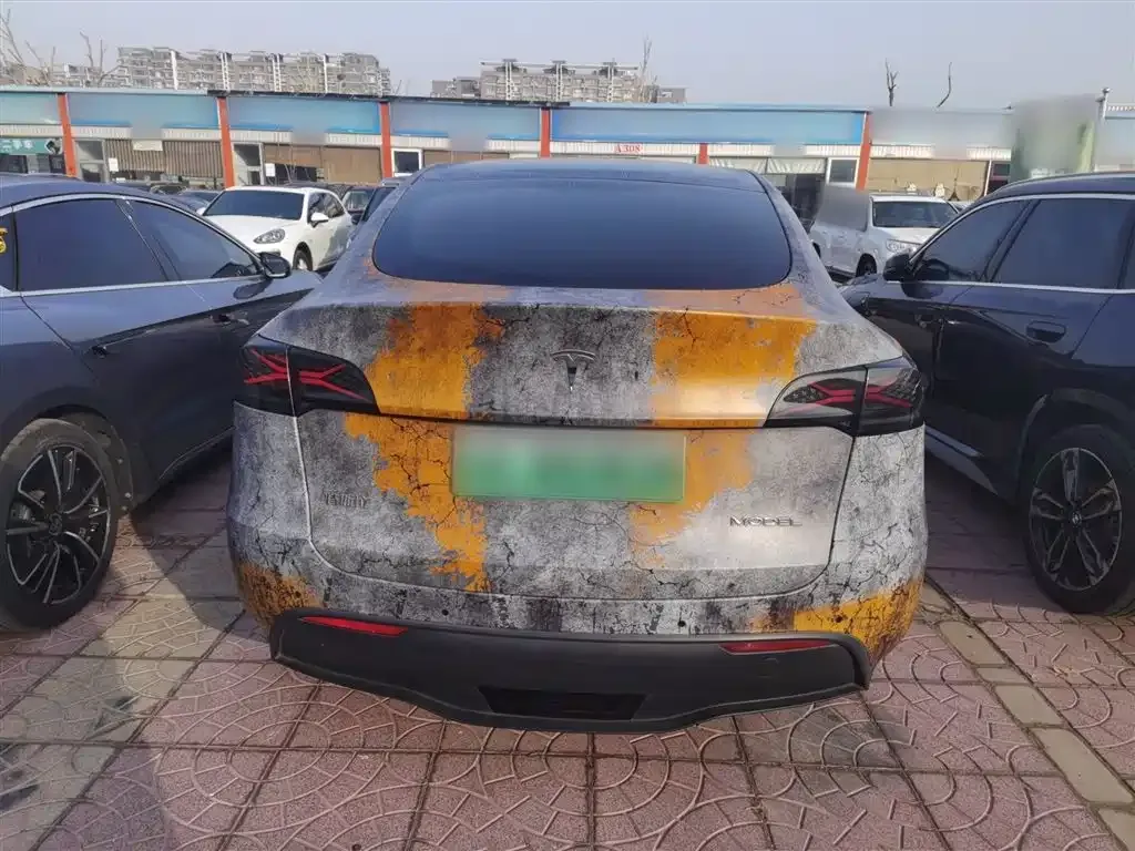 Tesla Model Y 2023 из CN, фото 4