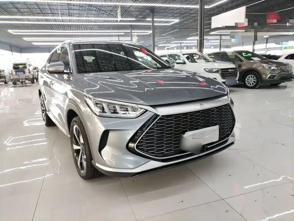 BYD PLUS New Energy 2022 из CN, фото 2