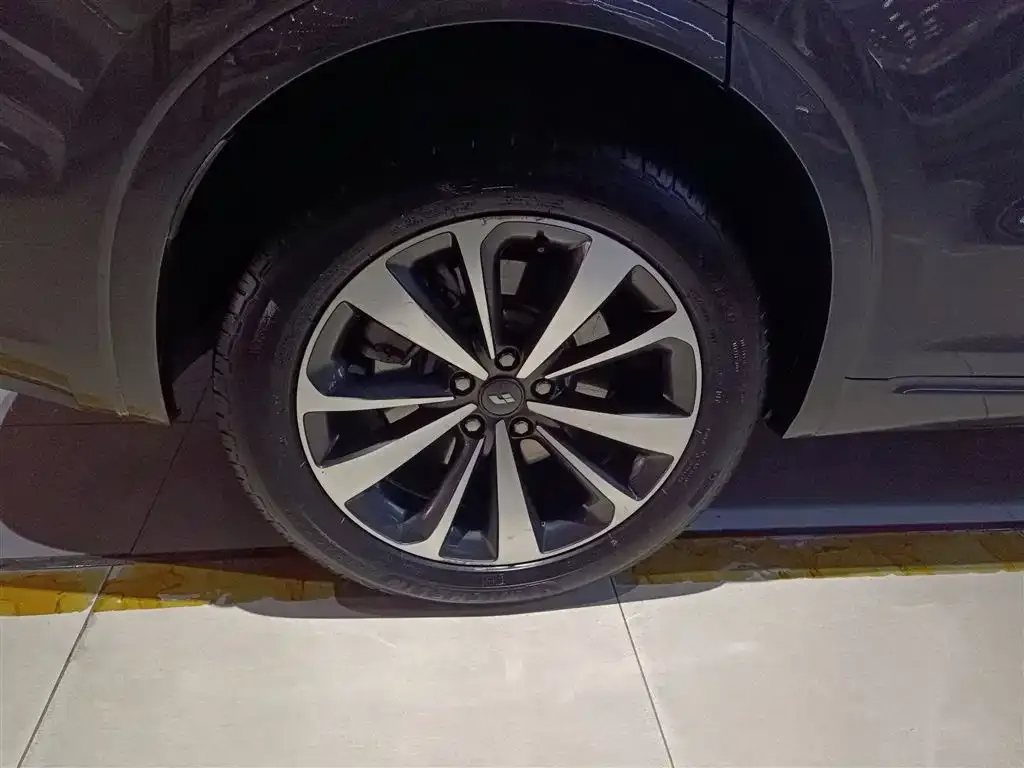 Li Auto ONE 2022 из CN, фото 6