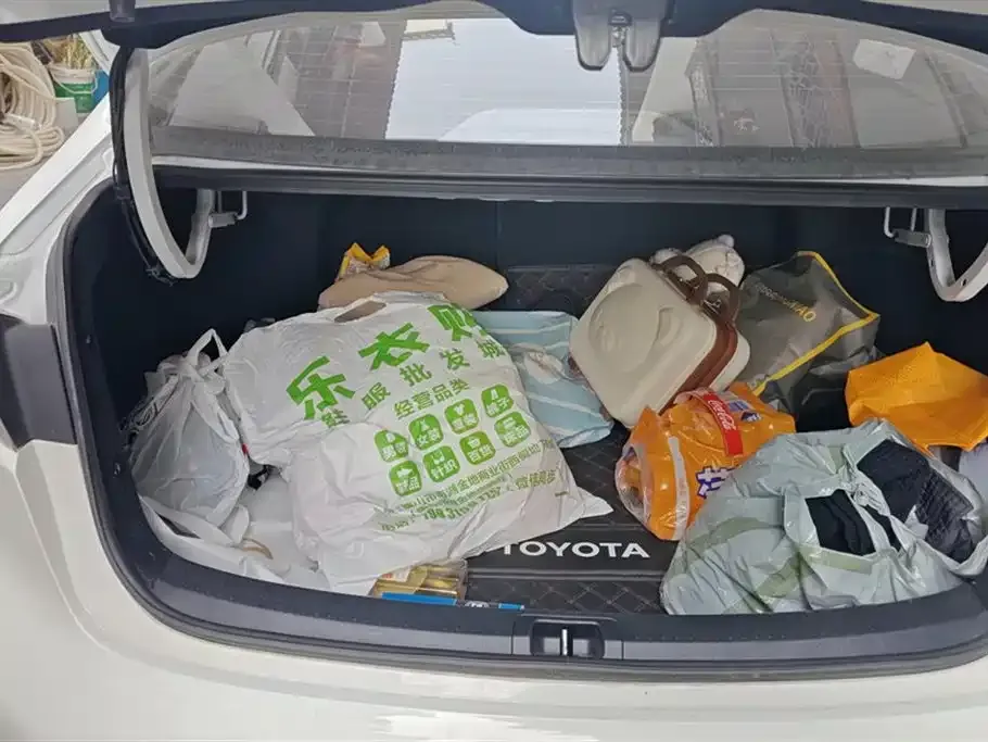 Toyota Levin 2025 из CN, фото 5