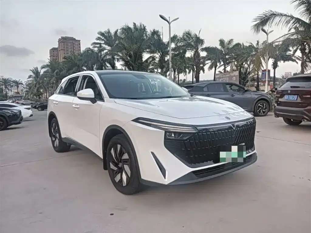 Venucia V DD-i 2023 из CN, фото 1