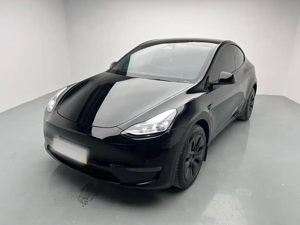 Tesla Model Y 2023 из CN, фото 1