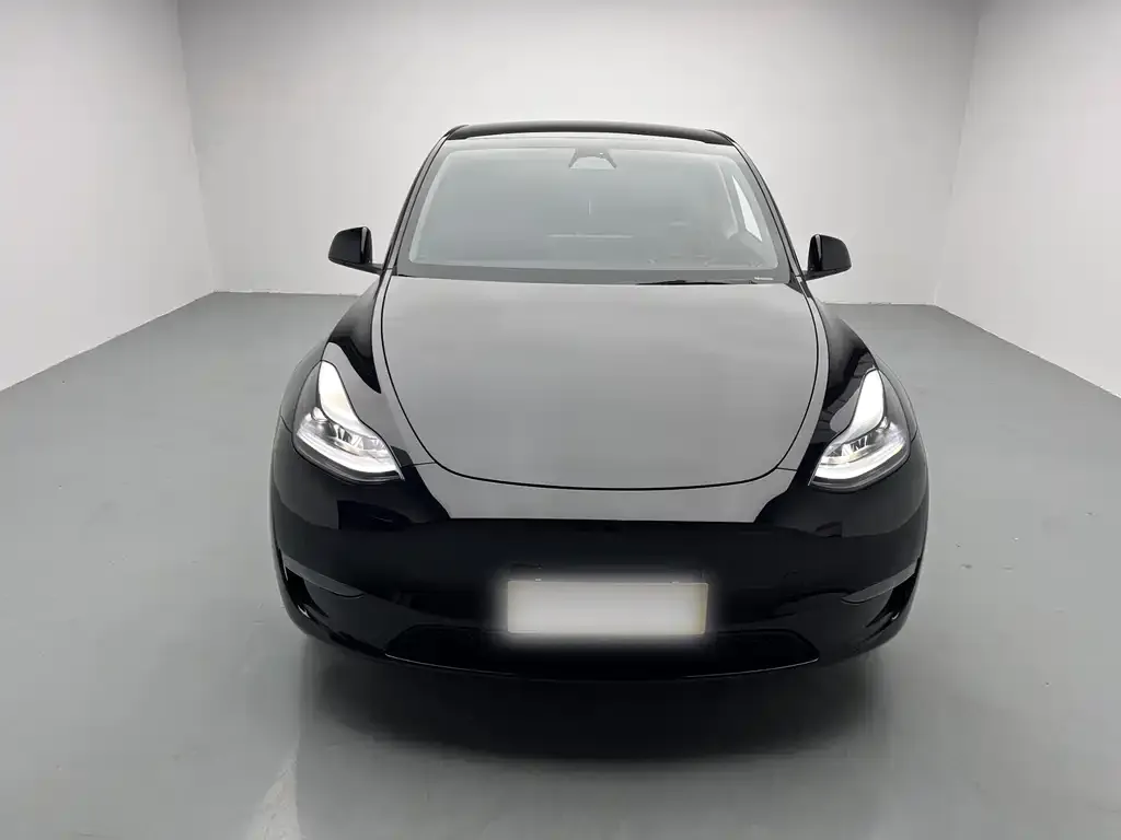 Tesla Model Y 2023 из CN, фото 2