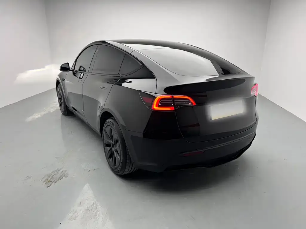 Tesla Model Y 2023 из CN, фото 6