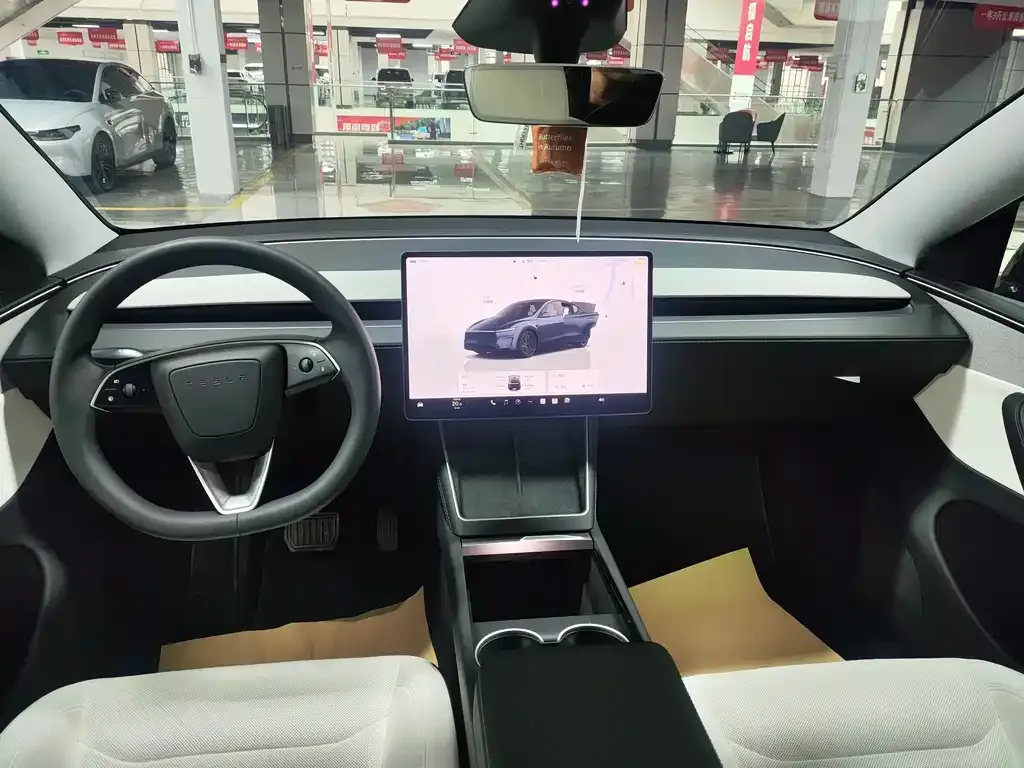 Tesla Model Y 2025 из CN, фото 8