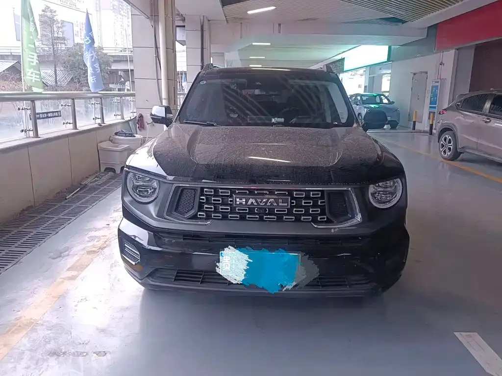 Haval Big Dog 2024 из CN, фото 3