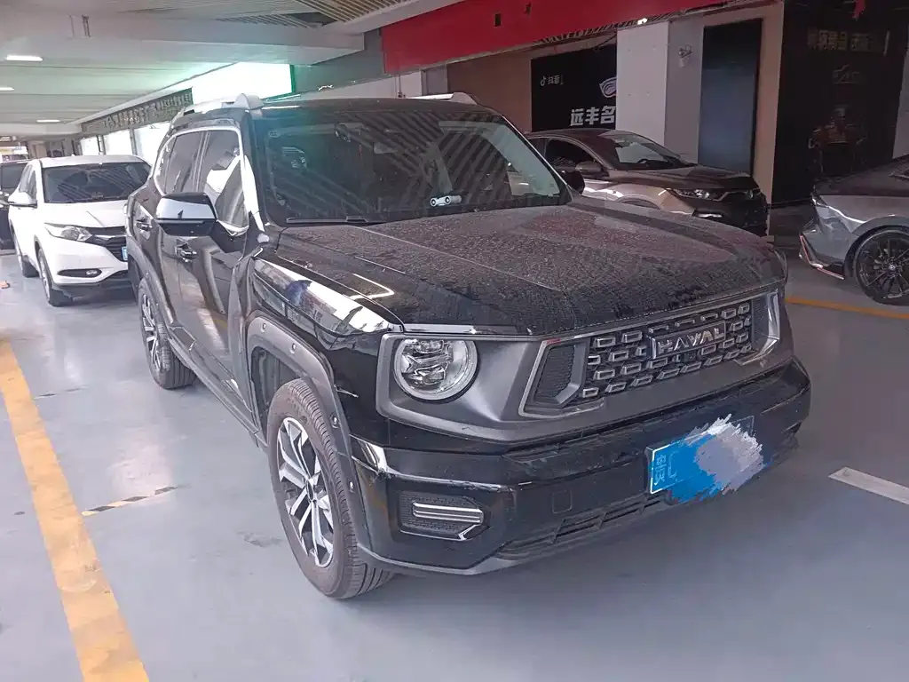Haval Big Dog 2024 из CN, фото 5