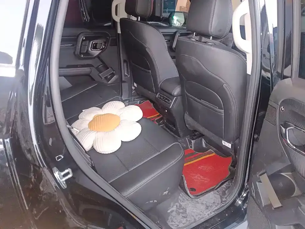 Haval Big Dog 2024 из CN, фото 6